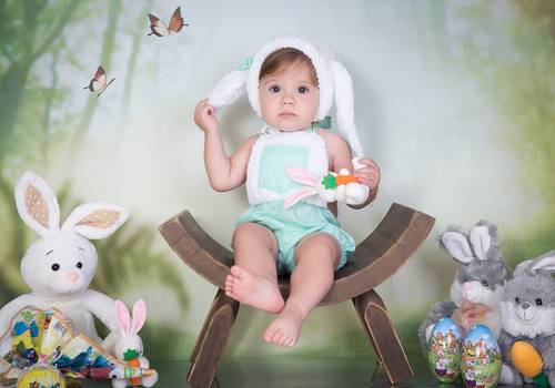 Acompanhamento de Analu