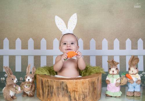 Acompanhamento de Heitor - 11 meses