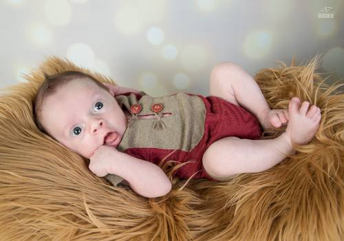 Acompanhamento de Dominic - 1 mês