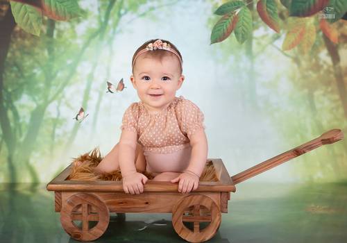 Acompanhamento de Helena 8 meses