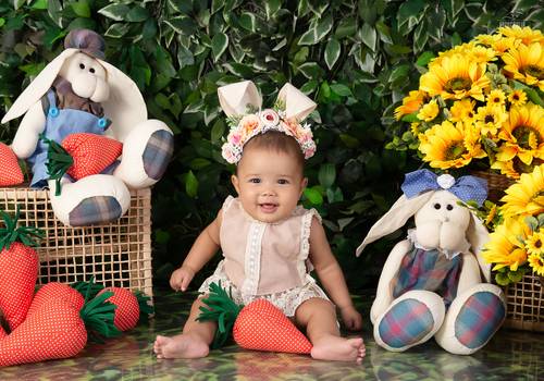 Acompanhamento de Maria Alice 7 meses