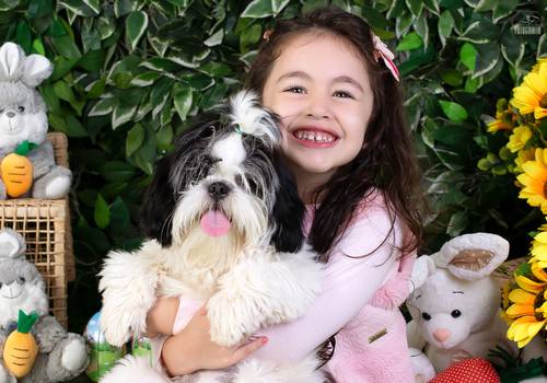 Acompanhamento de Manu