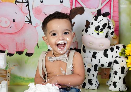 Smash the cake de Enzo