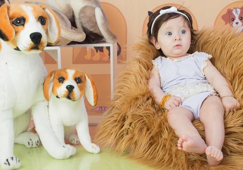 Acompanhamento de Analu - 4 meses