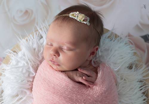 Acompanhamento de Melissa - 5 dias