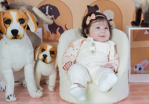 Acompanhamento de Maya