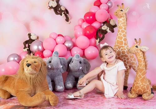 Acompanhamento de Maria Clara - 2 anos