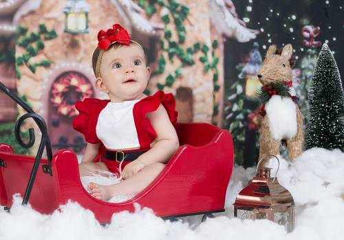 Acompanhamento de Luíza - 7 meses