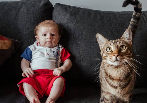 Familia de Ensaio Fotográfico Família e Acompanhamento: São Paulo - Ayrton
