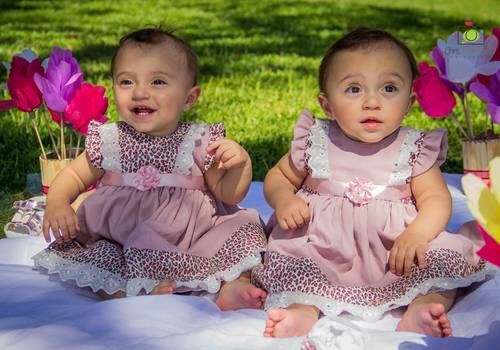 Smash the Cake de Ana Luisa e Ana Laura
