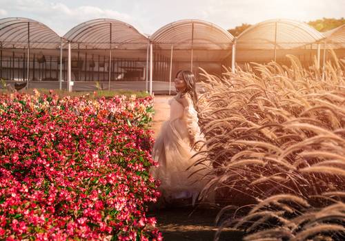 15 anos de Seu sonho em Holambra | A cidade das flores