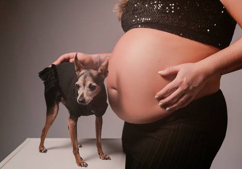 Gestantes de Doce Eloah