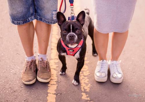 Pre casamento de Jé e Lucas