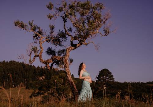 Gestantes de Miguel a caminho!