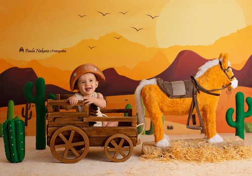 Festa Junina   de Malu 