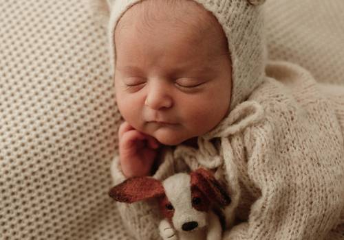 Newborn de A Chegada do Bruno