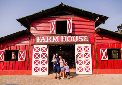 Aniversário de 2 anos da Júlia