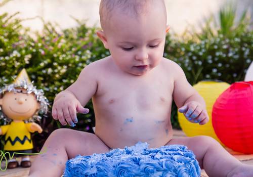 Ensaios de Smash the cake do Luiz