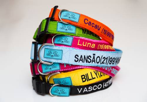 Corporativo de Doo Dog