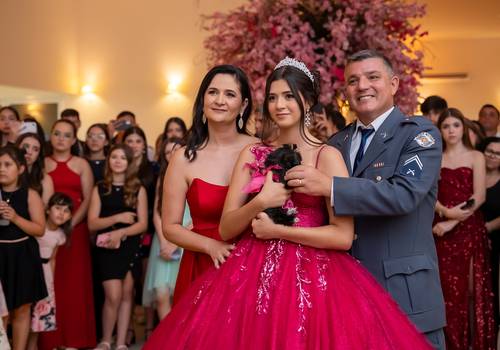 Aniversário 15 anos de Ana Lívia 