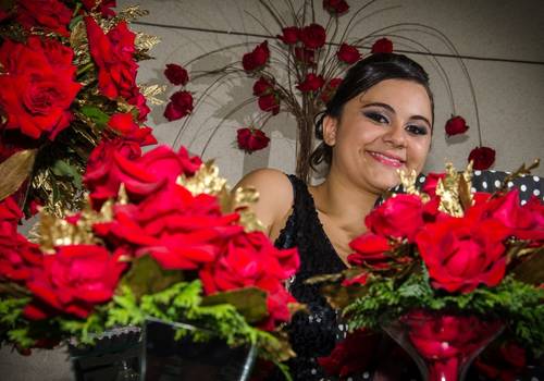 Aniversário de Ana Carolina - 15 Anos