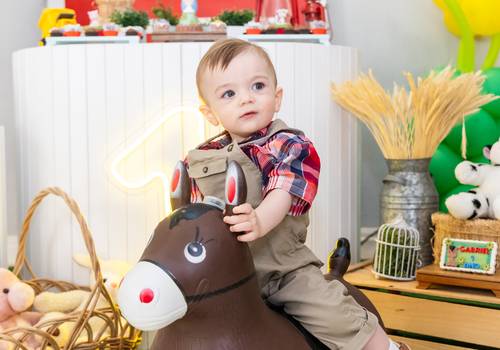 Infantil de Gabriel 1 aninho