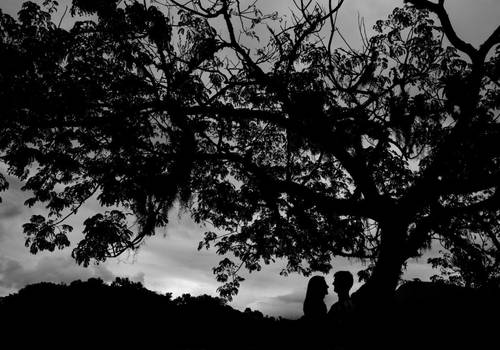 Ensaio de Ensaio Fernanda e Luís