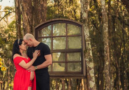 Gestante de Baby a Bordo