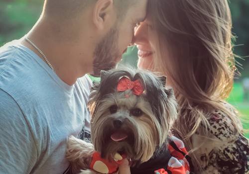 Pré Wedding de Barbara & Paulo