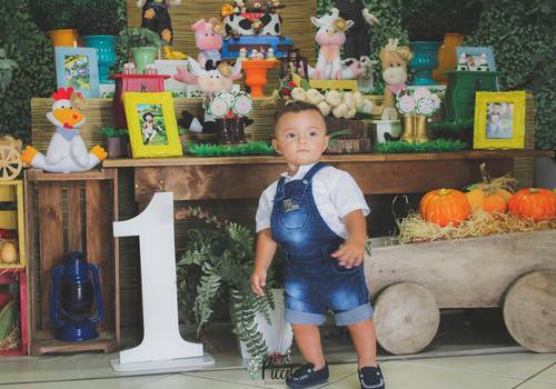 Evento Infantil  de A fazendinha do bebê