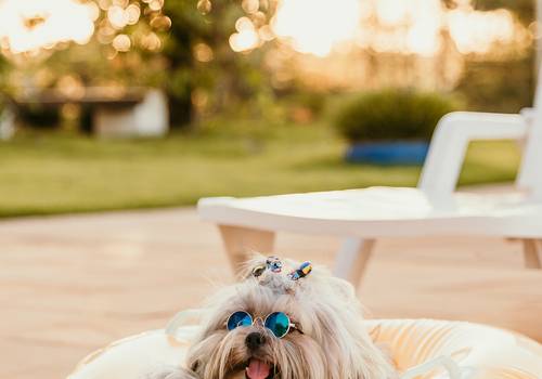 Ensaios de Benicio 01 aninho 