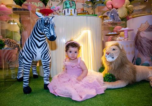 Aniversário infantil de Luísa 1 ano