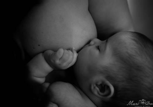 Alimento, Conexão e Amor - Projeto Maternar