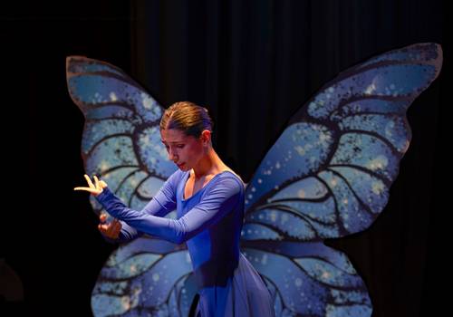 Artes Performativas de Asas (Estúdio de Dança Margarida Valle)