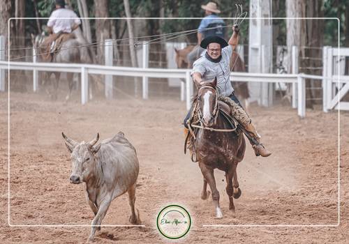 Tradicionalista de Rodeio Agropecuária Bazana, quinta-feira, 23/01