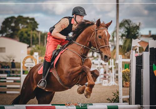 Hipismo de Festival Hípico - Conectando Passos