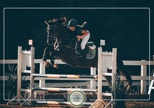 Hipismo de 21ª COPA Terra dos Poetas de Hipismo, 17/04