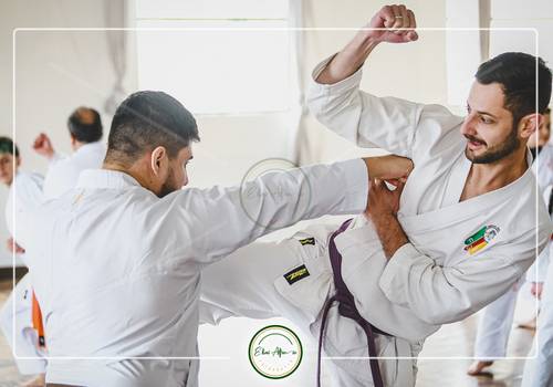 Artes Marciais de Seminário de Karatê, 07/08