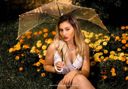 Ensaios externos  de Janaína 