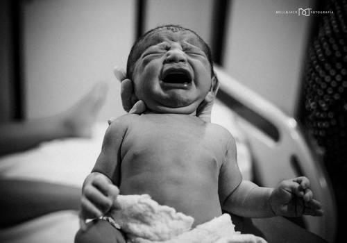 GESTANTES de Nascimento Davi