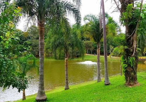 PARQUE de Parque Central