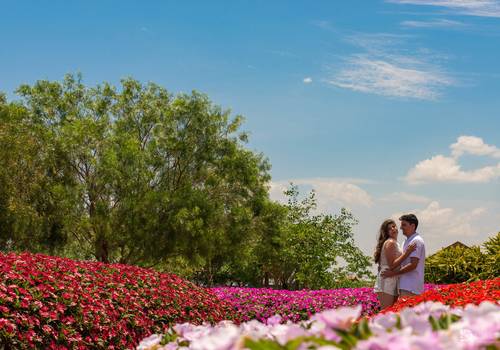 Pré-Wedding de Pré Wedding - Aline e Luan
