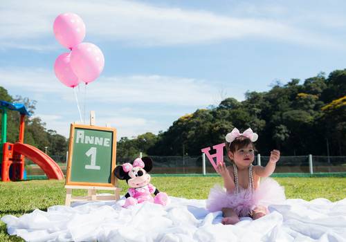 Smash the Cake de Smash the Cake - Anne