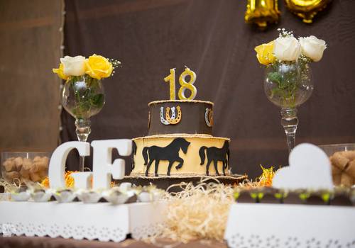 Aniversários de Aniversário de 18 anos Geovanna