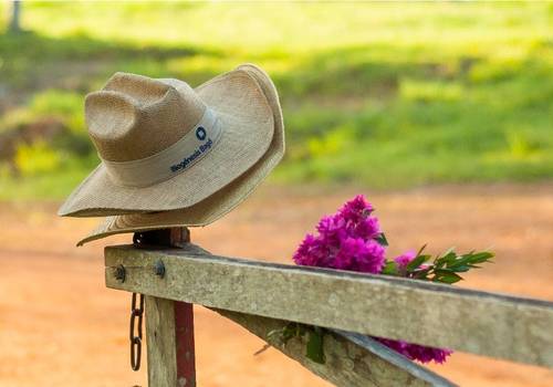 PRÉ CASAMENTO de ARTUR E DENISE