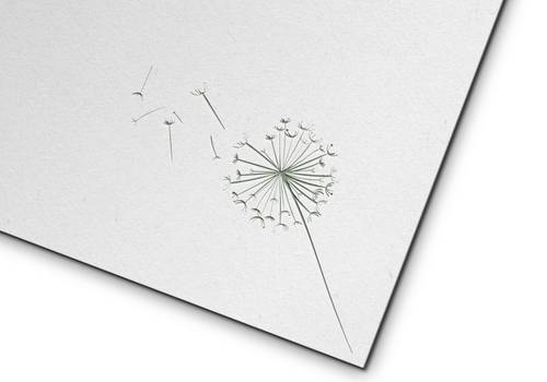 Projetos  de Identidade Visual | Bianca Sonntag