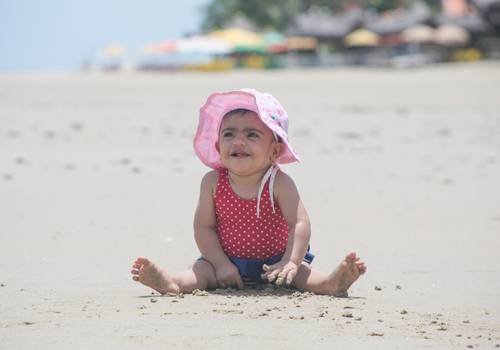 Infantil de Acompanhamento Alice 1 Ano - DF