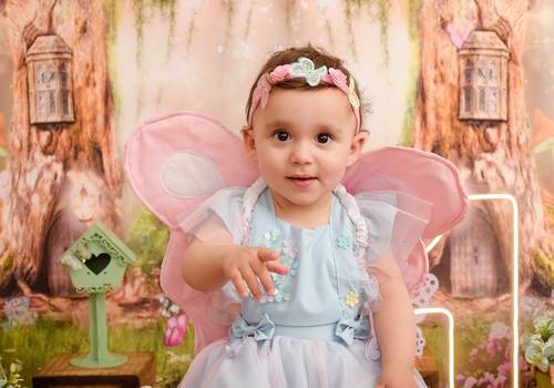 Smash the Cake de Borboleta | Amanda