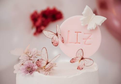 Smash the Cake de Jardim | Liz