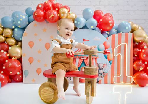 Smash the Cake de Circo | Lucca